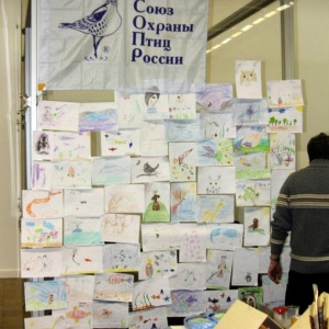 Фото от владельца Союз охраны птиц России, Общероссийская общественная организация