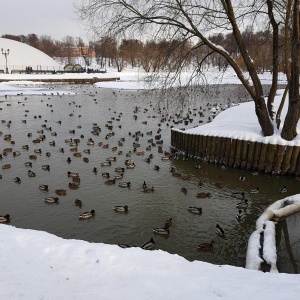 Фото от владельца Царицыно, парк культуры и отдыха