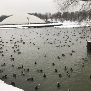 Фото от владельца Царицыно, парк культуры и отдыха