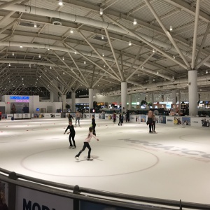 Фото от владельца Mega Ice, каток