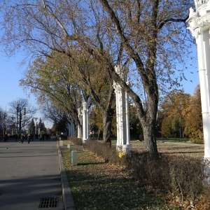 Фото от владельца ВДНХ, ОАО