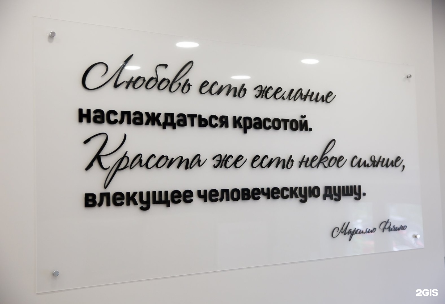 Эпилэксперт