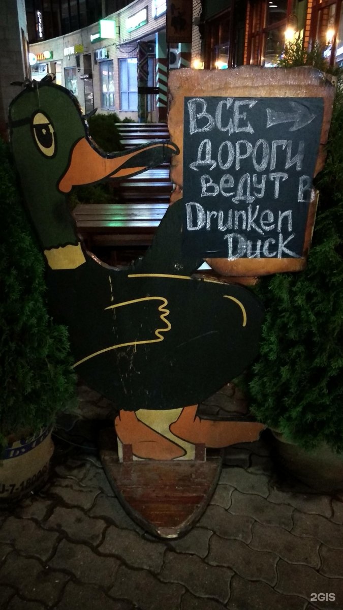 Duck pub