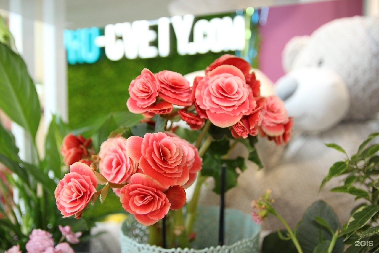 магазин цветов люби цветы. цветочная лавка вывеска. цветы в цветочном магазине. интерьер цветочного магазина. салон цветов интерьер.