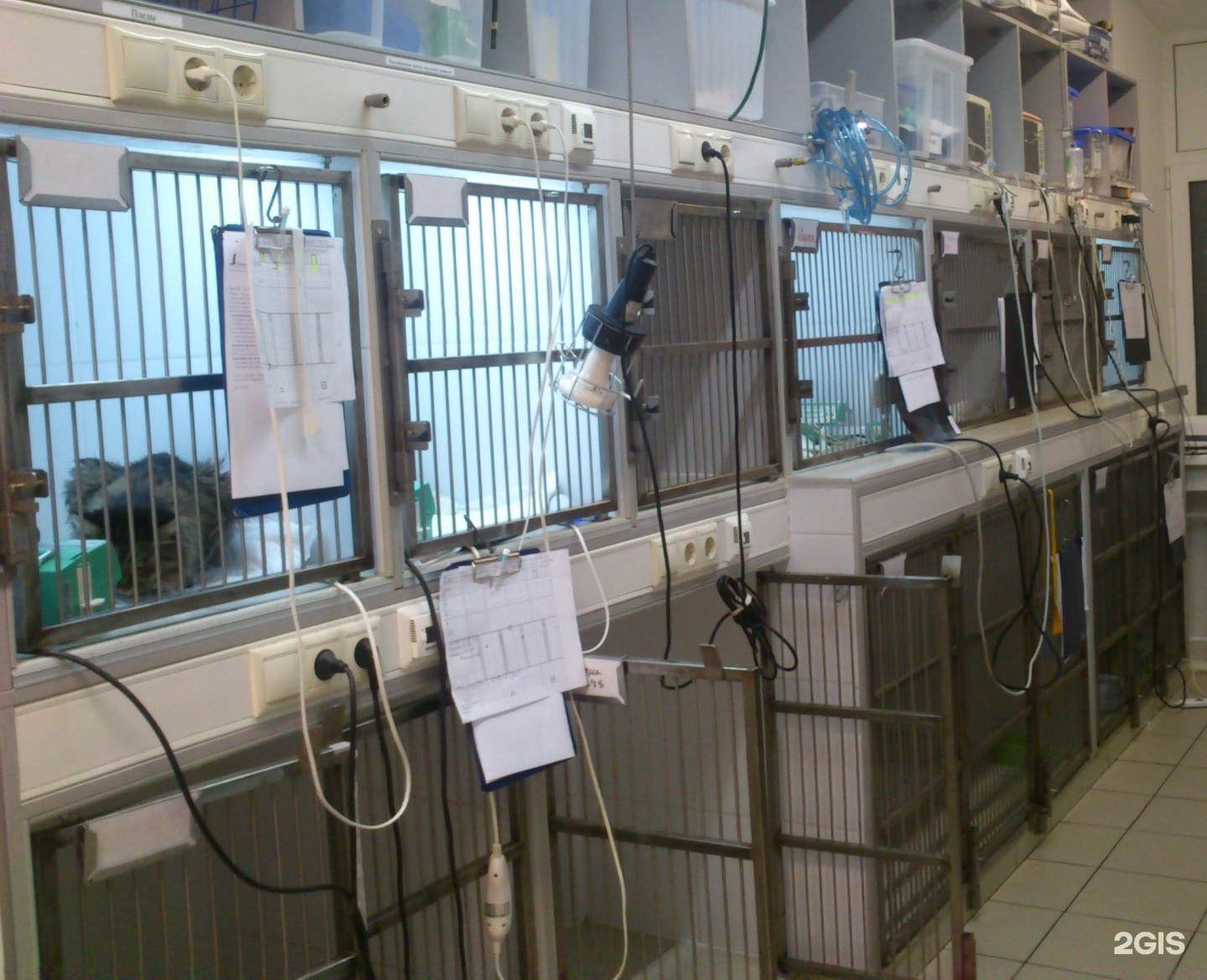 Панвет дубровская. Ветлечебница рядом с вами: «панвет». Москва 1-я дубровская улица 8/12 панвет. Панвет дубровская. Дубровка ветклиника.