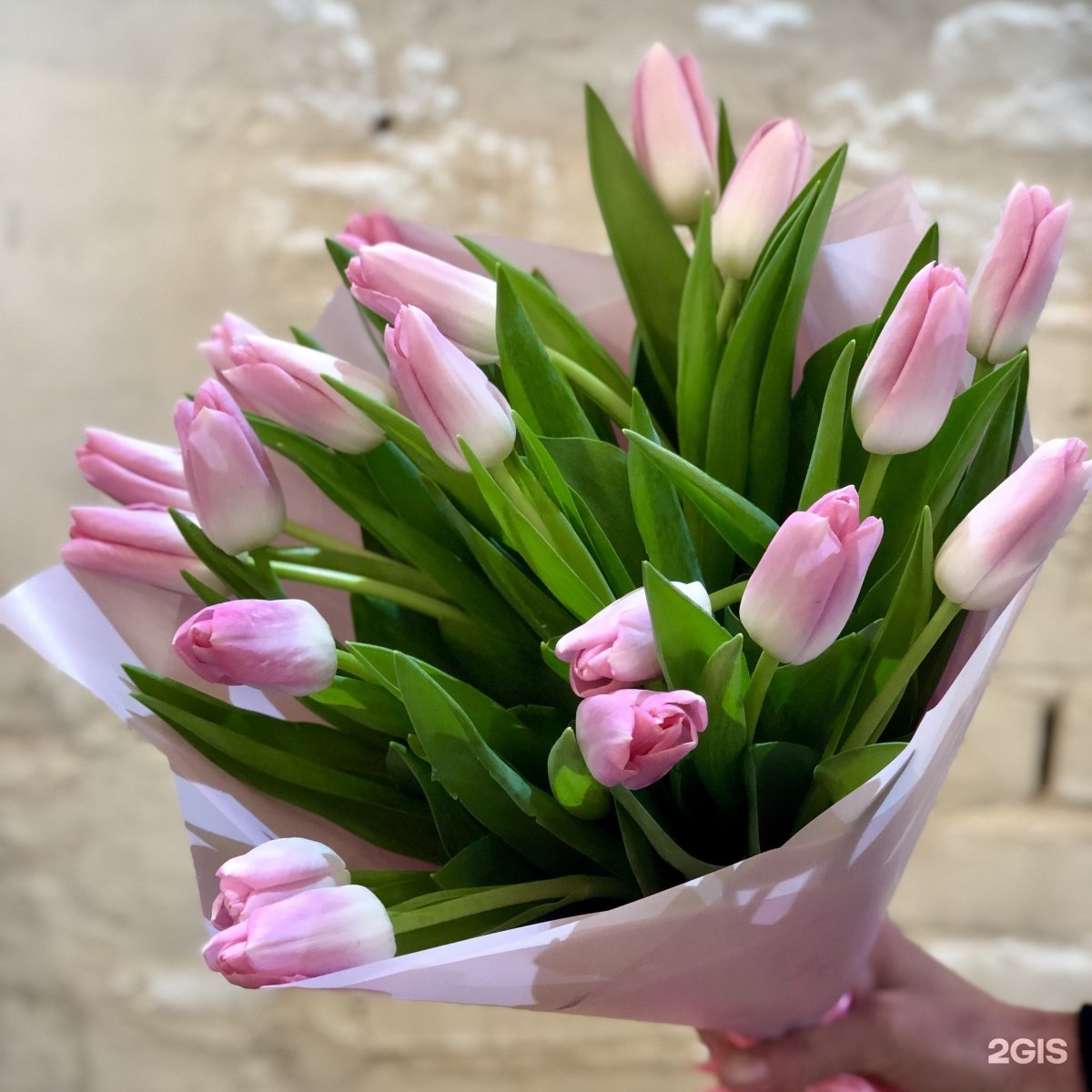 19 Розовых тюльпанов
