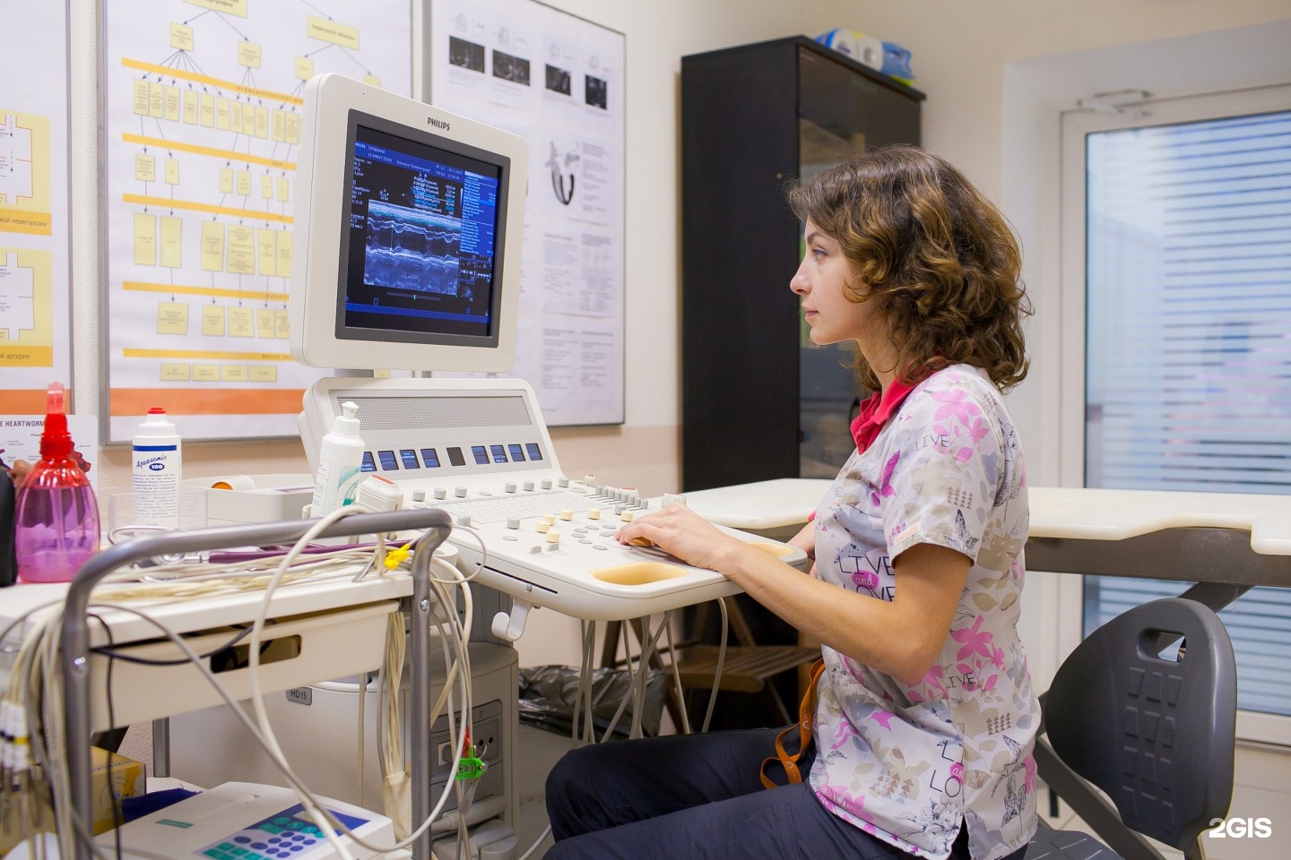 ветклиника каширское шоссе 24. биоконтроль давид. ветлечебница кашира 2 гвардейская. ветеринарная клиника на каширке. биоконтроль каширское шоссе.