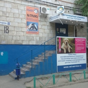 Фото от владельца Сеть ветеринарных клиник, ИП Чулкова Г.Б.