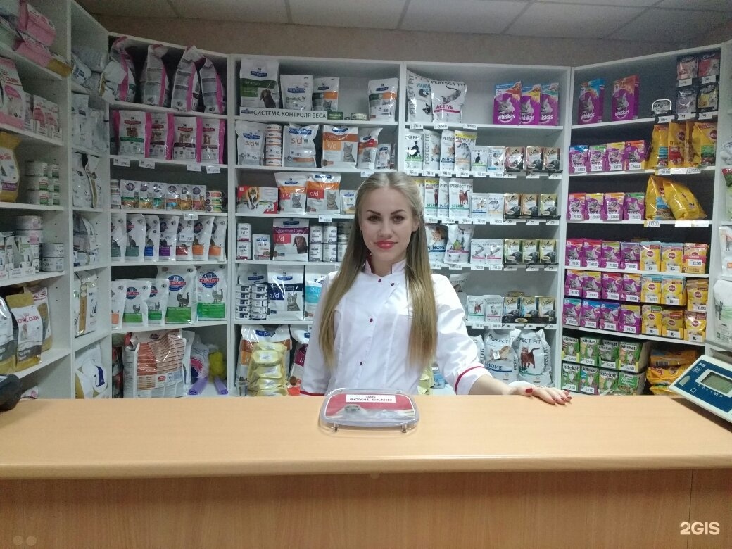 ветеринарная клиника пушкина волжский. кис вет ветеринарная клиника волжский. кис кис ветеринарная клиника муром. кис вет волжский. кис вет волжский.