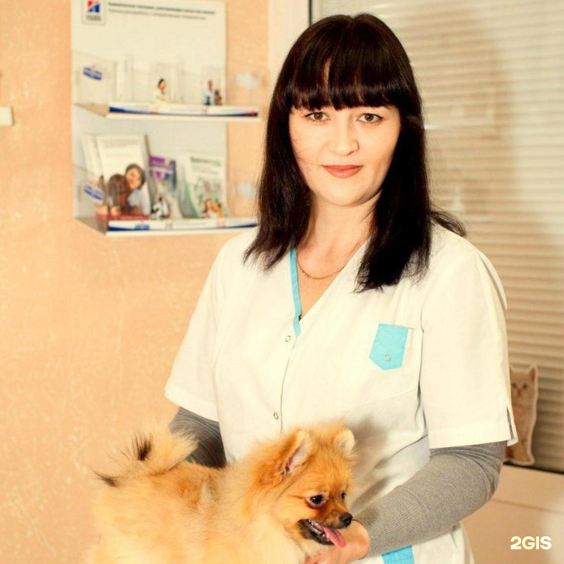 Ветеринар модель. Ветврач кострома. Костромская областная ветеринарная лаборатория кострома березенко. Ветврач кострома. Ветеринарная клиника в костроме на костромской.