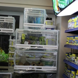 Фото от владельца Аквакласс, магазин товаров для рыбок