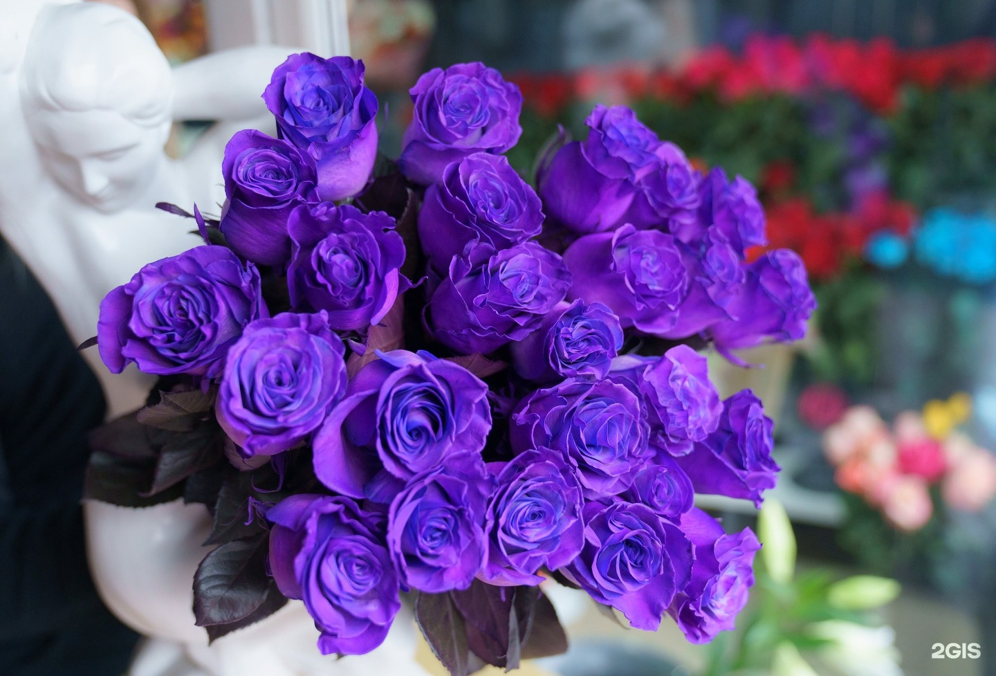 кутузова цветы