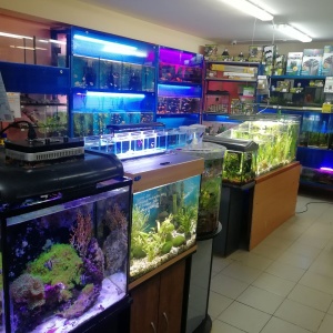 Фото от владельца Аквакласс, магазин товаров для рыбок