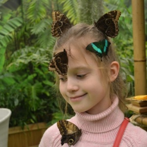 Фото от владельца Парк бабочек