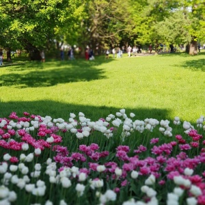 Фото от владельца Центральный парк культуры и отдыха им. С.М. Кирова