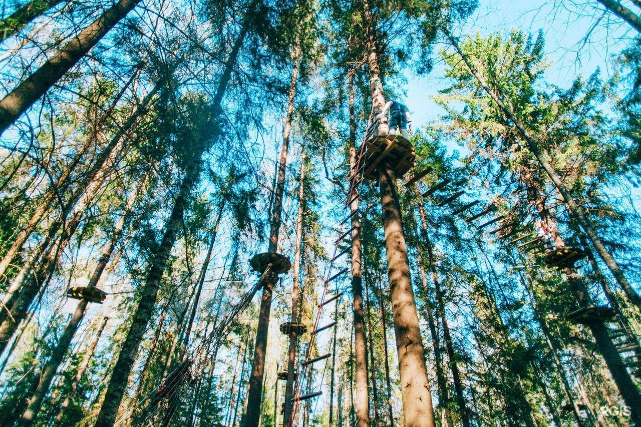 кошкино веревочный парк