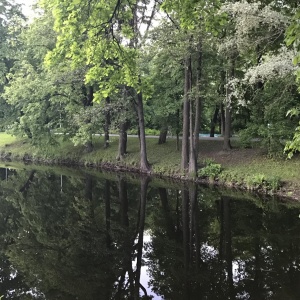 Фото от владельца Центральный парк культуры и отдыха им. С.М. Кирова