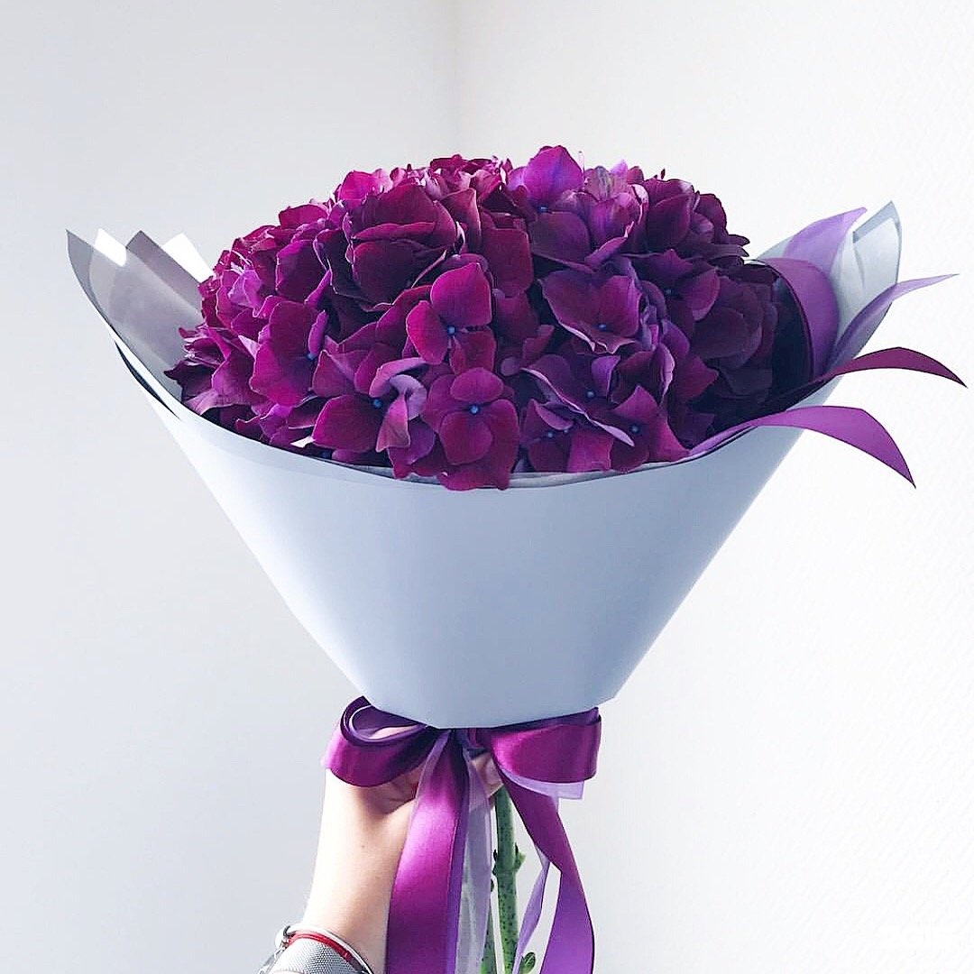 Упаковка для фиолетовых цветов. Магазин цветов на дыбенко. Пятерочка самара дыбенко. Цветы дыбенко. Дыбенко 6 к 1 москва.