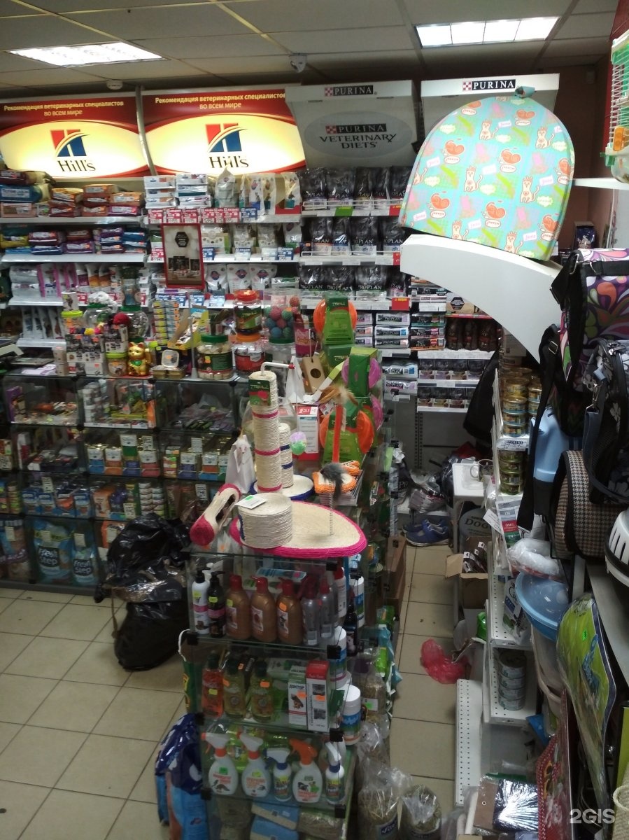 Зоомагазин на первомайской. Зоомагазин на первомайской