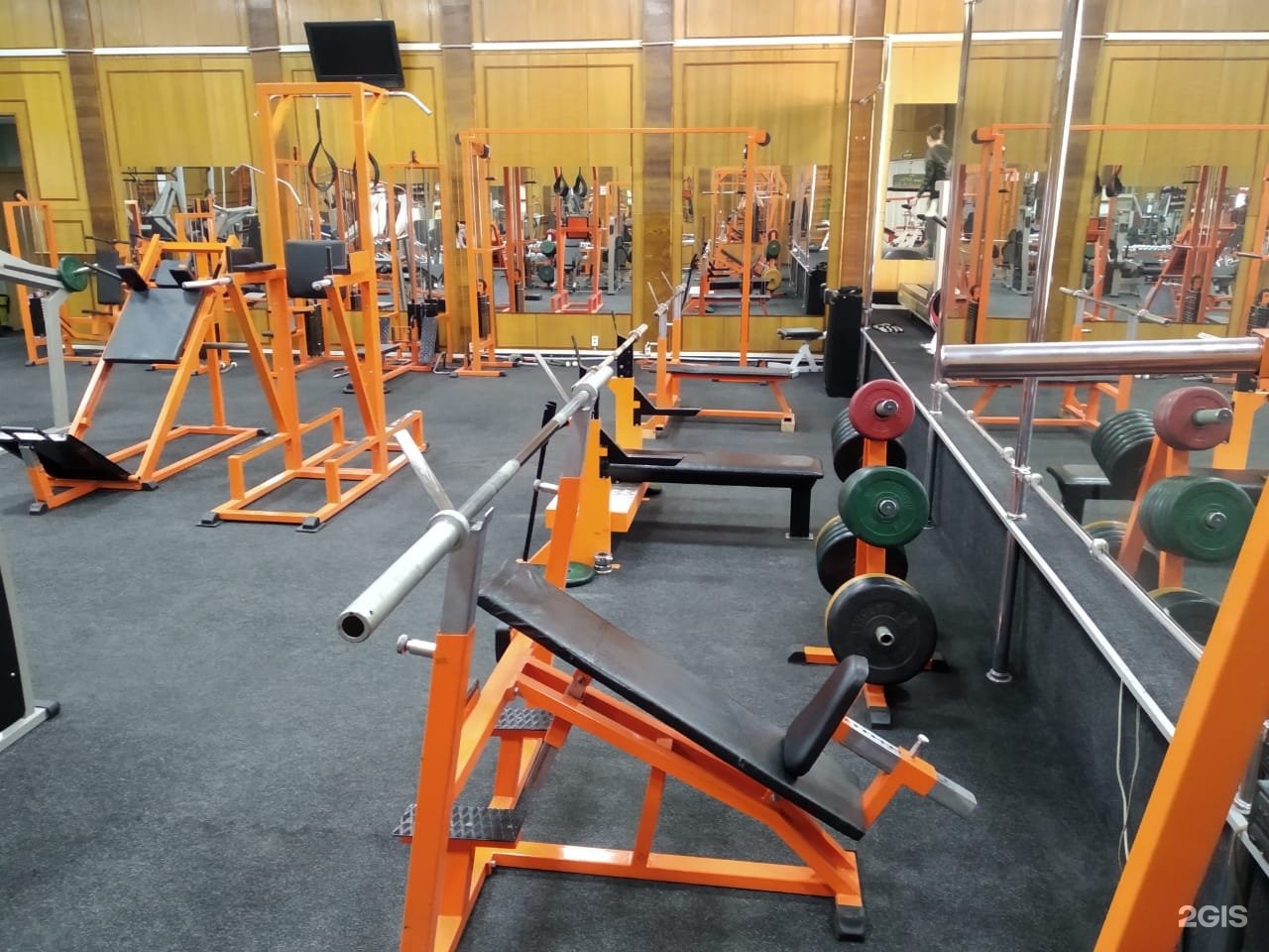 Фитнес джим красное село. Фитнес зал первый ржев. Спортзал красное село. Спортзал в красном селе. Спортзал красное село.