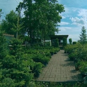 Фото от владельца Волшебный сад, питомник растений