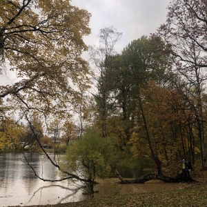 Фото от владельца Центральный парк культуры и отдыха им. С.М. Кирова