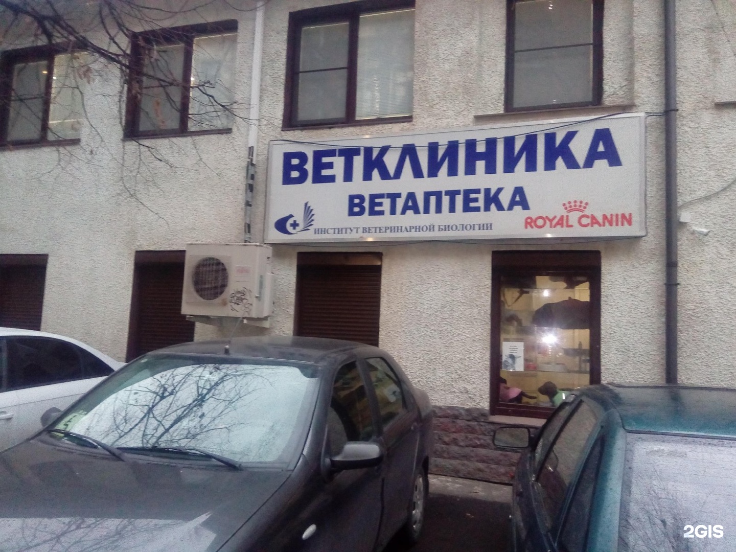 Институт ветеринарной биологии ораниенбаумская ул 3б фото Институт ветеринарной биологии, ветеринарный центр, Ораниенбаумская, 3 к1, Санкт