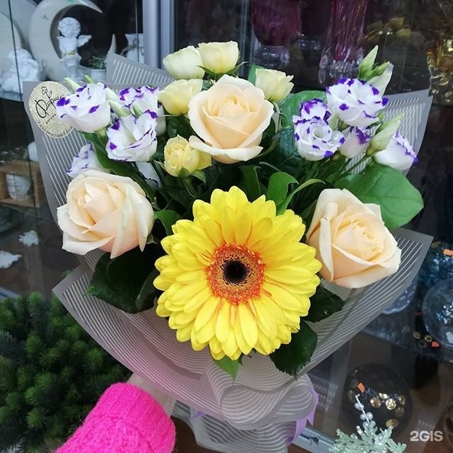 Ленина 53 сургут. Флориаль сургут. Флориаль сургут улица иосифа каролинского. На каролинского цветы сургут. Флориаль сургут.