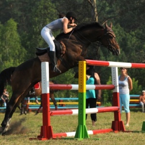 Фото от владельца Гренада, конно-спортивный клуб
