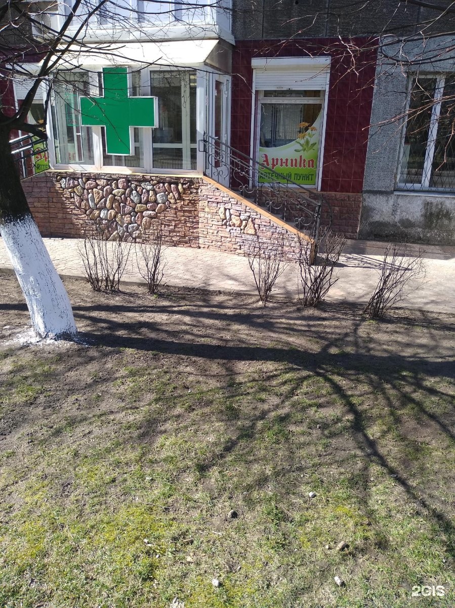 Аптека арника телефон. Балтийск Ленина 89