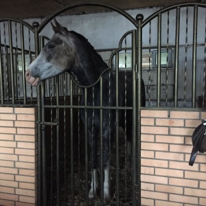 Фото от владельца Забег, база отдыха