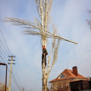 Фото от владельца HardWork64, компания