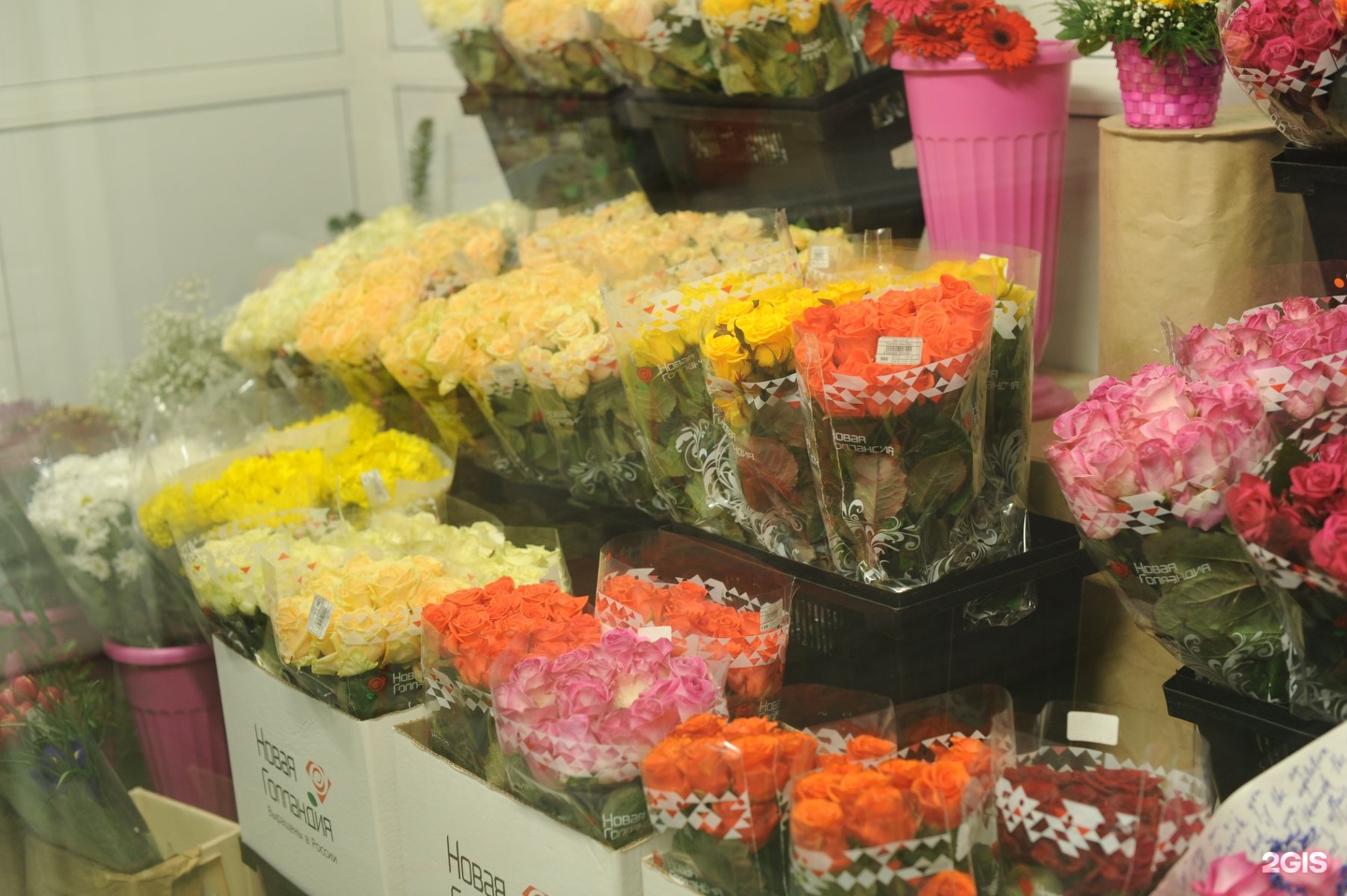 Где купить цветы в саратове. ЦВЕТОПТ 24 Саратов. Цветочный магазин. Оптовый магазин цветов. Оптовый склад цветов.