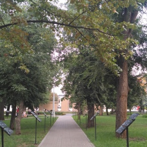 Фото от владельца Городской парк, ООО