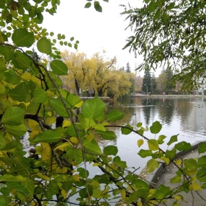 Фото от владельца Городской парк