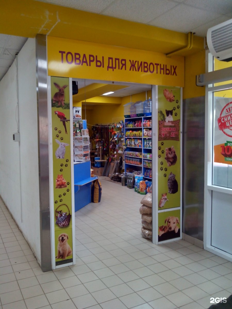 зоомагазин дружок