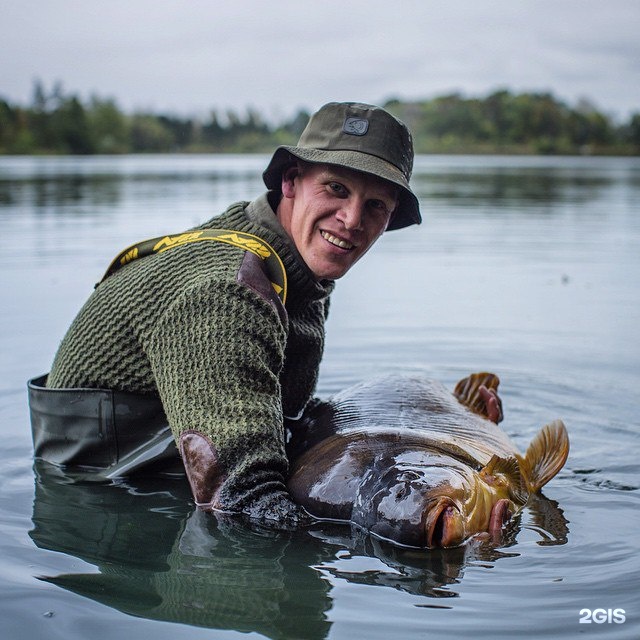 4 карпа рыбалка. Карповая рыбалка с Николаевым. Information about Carp Fish.