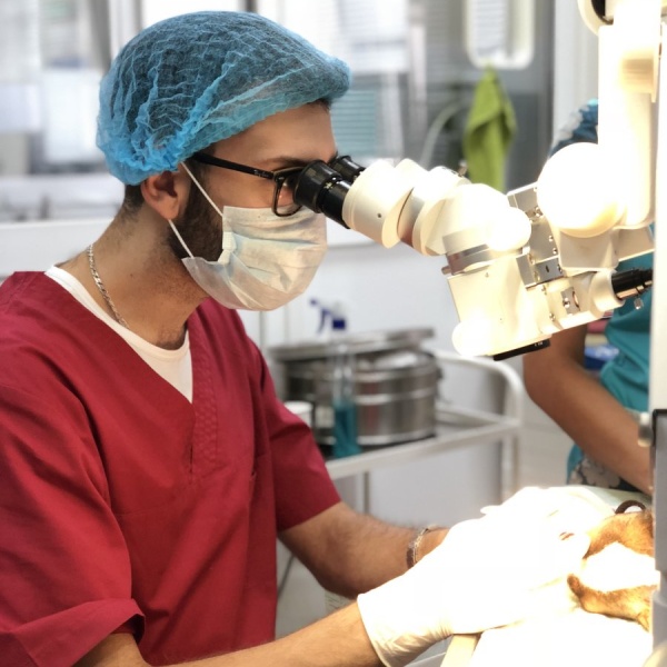 Доктор АЙ и ОЙ, ветеринарная клиника, Тамары Ильиной, 1Б