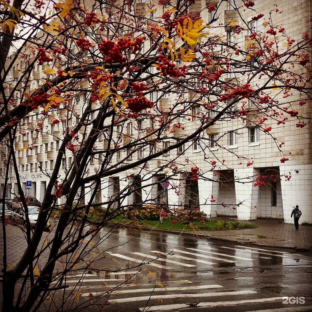 Дом книги архангельск