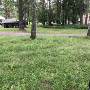 Фото от владельца Елыкаевская слобода, база отдыха