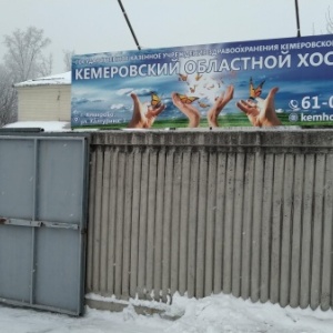 Фото от владельца Кемеровский областной хоспис