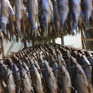 Фото от владельца Сибирская рыбка, завод