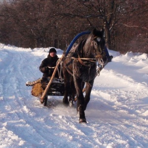 Фото от владельца Венеды, база отдыха