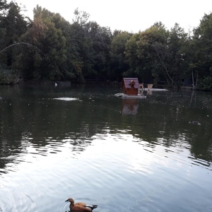 Фото от владельца Липецкий зоопарк