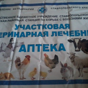 Фото от владельца Михайловская участковая ветеринарная лечебница