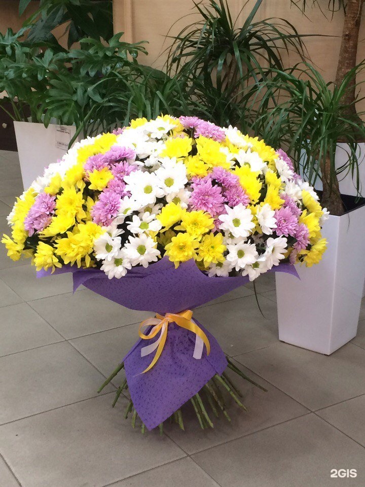 Цветы с доставкой сыктывкар макси флора, букет невесты иркутск
