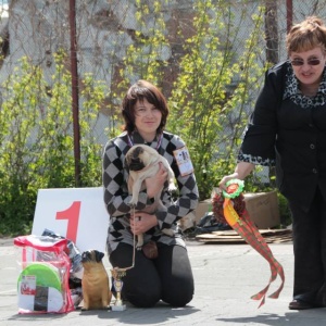 Фото от владельца Мокрый Нос, зооцентр