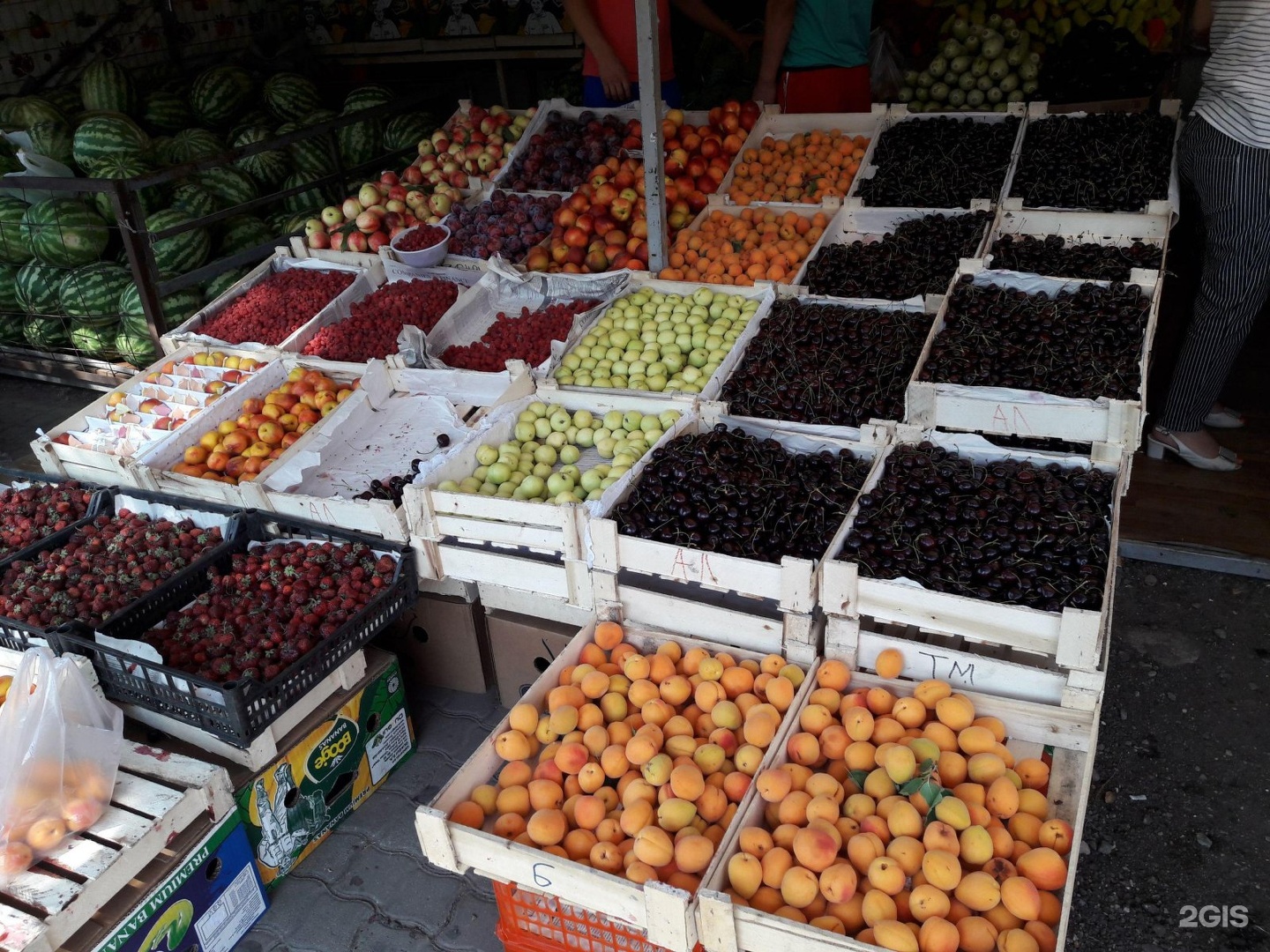 Киел овощ купить в Ташкенте.