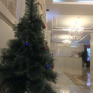Фото от владельца Business Hotel Almaty, гостиница