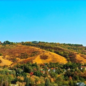 Фото от владельца Казахский колледж физической культуры, туризма и сервиса